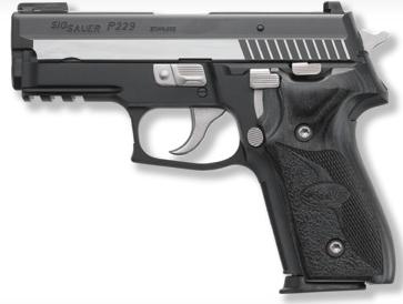 Sig P 229 Equinox